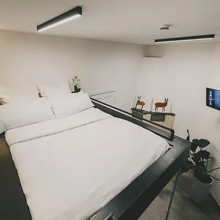 Altbau-loft Fuer 12 Personen Am Alexanderplatz Lejlighed
